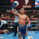 Home 2 Eumir Marcial withdraws from Asian Games boxing